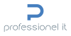 Professionel IT logo